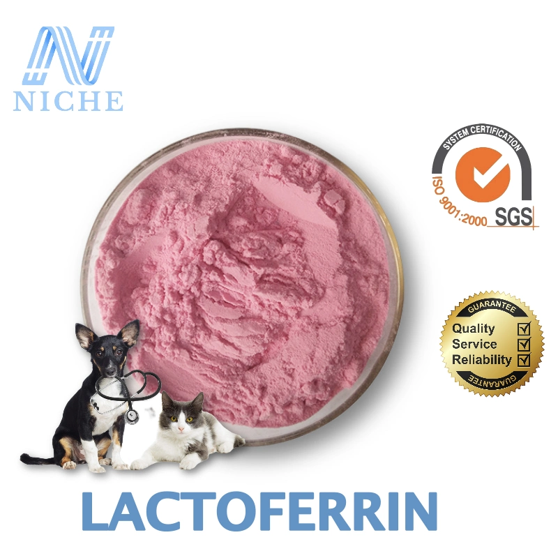 Free Shipping Lactoferrin Cat Fip Supplements Factory Wholesales CAS: 112163-33-4