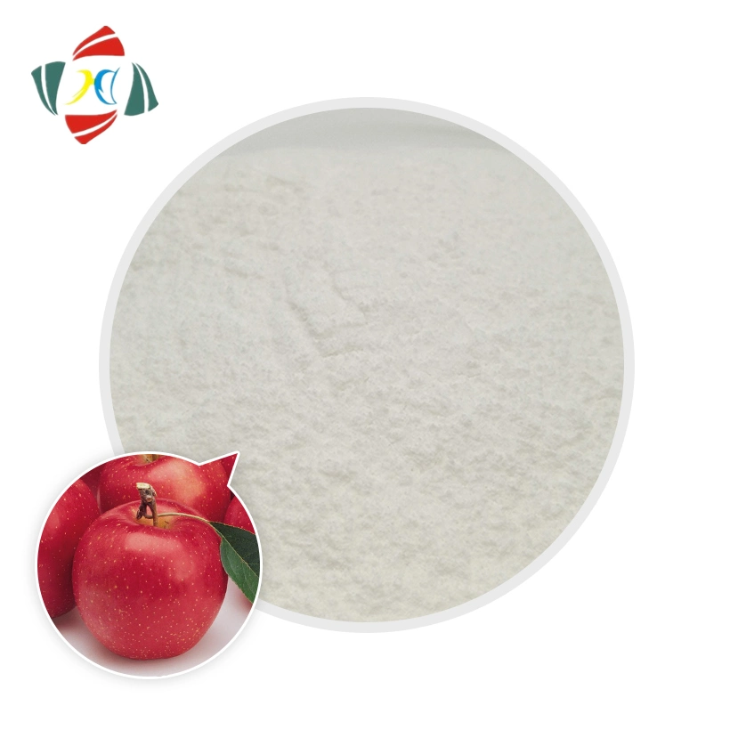 Wuhan Hhd Food Grade L-Fucose CAS 2438-80-4 for Immunoregulation