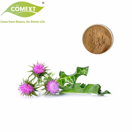 Personalize o pó de colágeno de proteína de peptídeo de extrato de germe de milho puro natural de alta qualidade para cuidados de saúde, melhore a imunidade