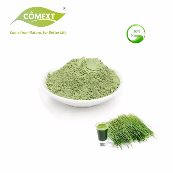 Grama de trigo em pó de grau alimentício orgânico Comext para superalimento verde