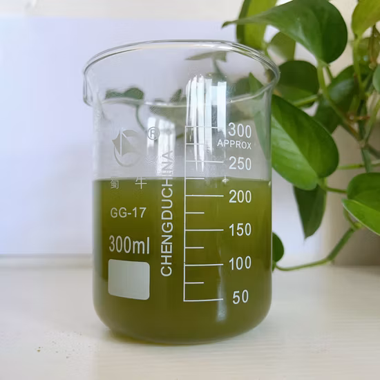 Pó de cogumelo Reishi - superalimento orgânico para saúde geral e vitalidade