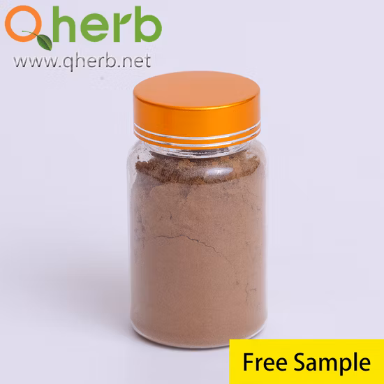 Cogumelo Ganoderma Orgânico Cogumelo Reishi Cogumelo Micélio Extrato de Esporos em Pó 30% Polissacarídeos para Aumentar a Imunidade