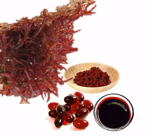 Extrato Natural Puro de Haematococcus Pluvialis para Melhorar a Aptidão Física