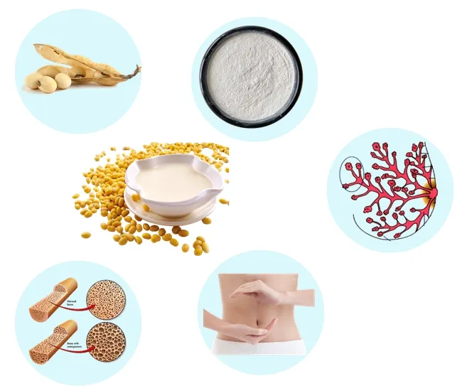 Produtos de saúde Fitoestrógenos Extrato de soja Isoflavonas